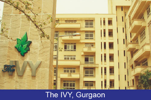 The Ivy Gurgaon